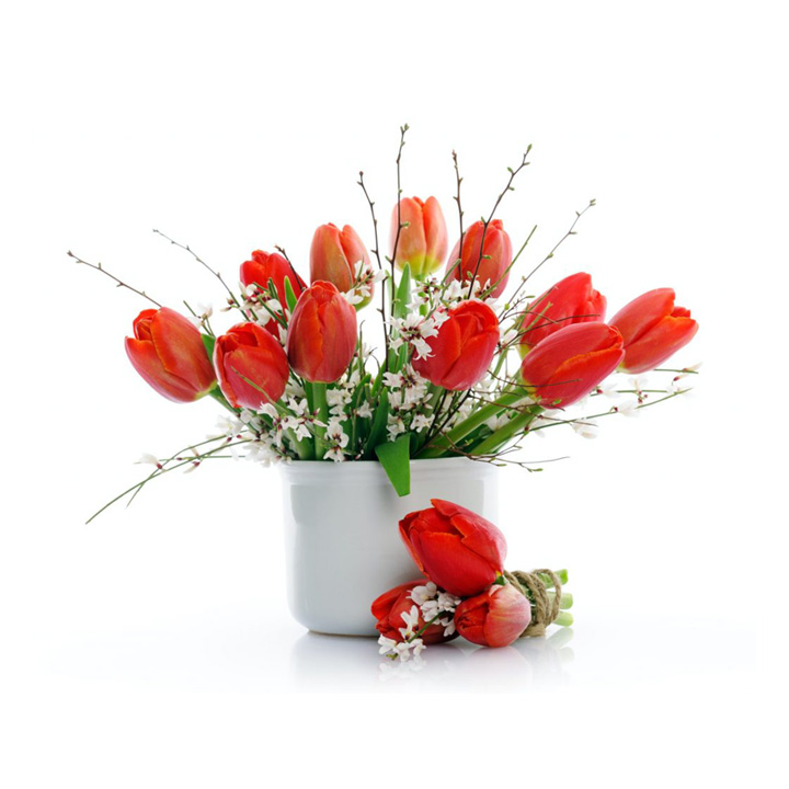 Ramo Premium "Esencia de Almería" - Selección del Día